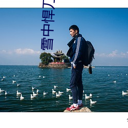 雪中悍(悍)刀行50集(集)免费(費)观看影