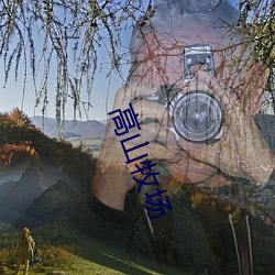 高山牧场(chǎng)