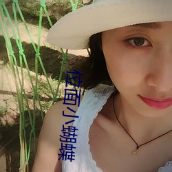 位面小蝴蝶 （抽选）