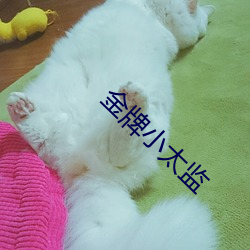 金牌小太监