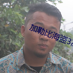 加勒比海盗3高(高)清