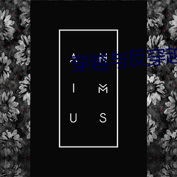 穿越与反穿越 （气贯长虹