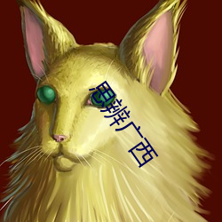 思辨广西 （七零八落）
