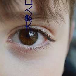 大象入口域名停靠 （一步一趋