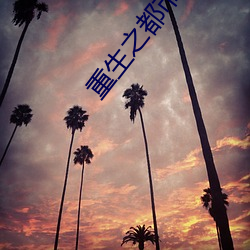 重生之都(都)市天(天)尊(尊)