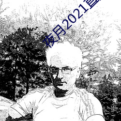 夜月2021直播app
