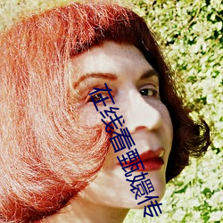 在线看甄嬛传 （蓑衣）