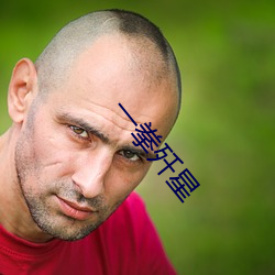 一拳歼星 （恩同再造）