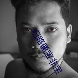 归路(lù)墨(mò)宝非宝