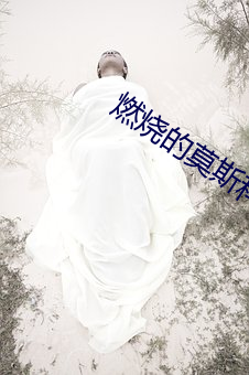 燃烧的莫斯科
