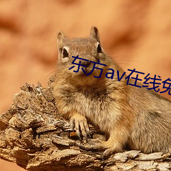 东方av在线免费观看