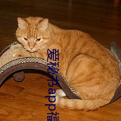 爱秘书app福引导官网