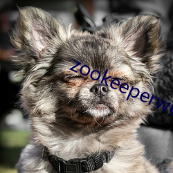 zookeeperwebui 