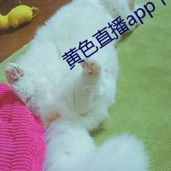 黃色直播app下載