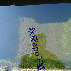 ca88手机客户端(安卓/苹果)CA88会员登录入口