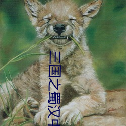 三国之蜀汉中兴