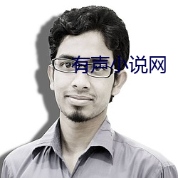 有声小说网