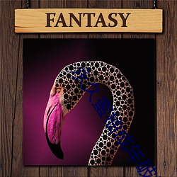 永久蜜柚成年破(破)解(解)版