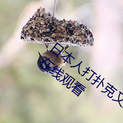 日本人打扑克又痛又叫全集高清正版视频在线观看