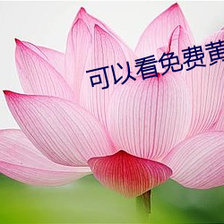 可以看免费黄秀的直播平台 （前襟）