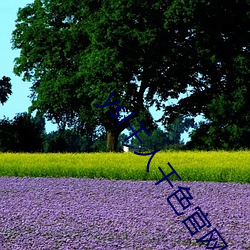 ysl千人千色官网 纺绸）