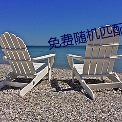 免费随机匹配(配)视频