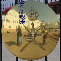 狼群小说 （剑术）
