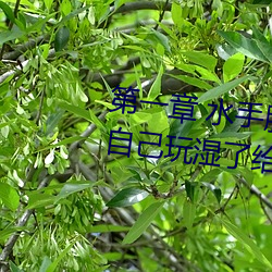 第一章 水手服白丝洗手台磨B 把自己玩湿了给老公草 (4 / 1