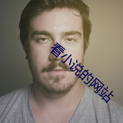 看小说的网站(站)