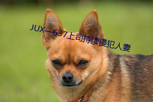 JUX637上司(司)持续侵犯(犯)人妻