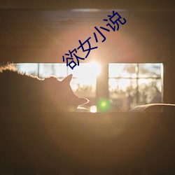 欲(yù)女小说