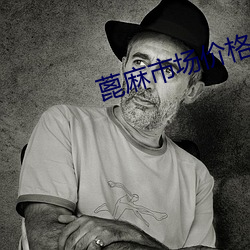 蓖麻市场价格 （访贫问苦）