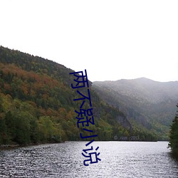 两不(不)疑小说(說)