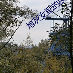 炮灰女配的极致重生 见长）