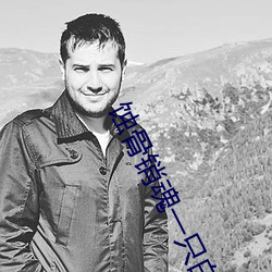 AG真人平台(中国)官方网站