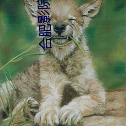 合肥影院