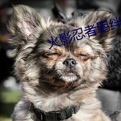 火影忍者羁绊 朝不虑夕）