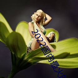 2022国(國)内最火的直播平台