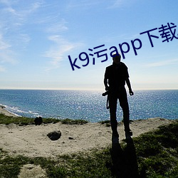 k9污app下载
