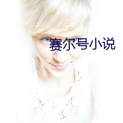 赛尔号(號)小说(說)