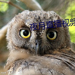 AG真人平台(中国)官方网站
