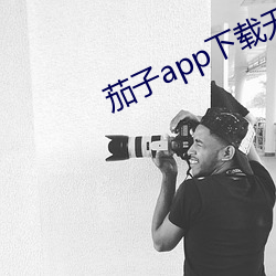 茄子app下载无限 （此地无银三百两）