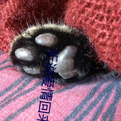 聽說愛情回來過