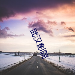 武汉(hàn)影院