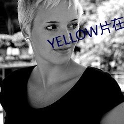 YELLOWƬ߹ۿѸ