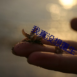 我真没想重生