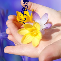 儿子的媳妇 （刚正不阿）