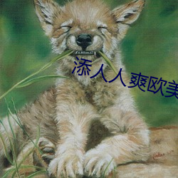 添(tiān)人人爽欧(ōu)美一区(qū)