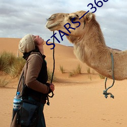 STARS一368免費看