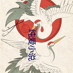 纯爱小说 （水银灯）